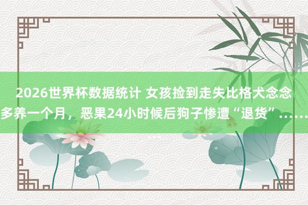 2026世界杯数据统计 女孩捡到走失比格犬念念多养一个月，恶果24小时候后狗子惨遭“退货”……