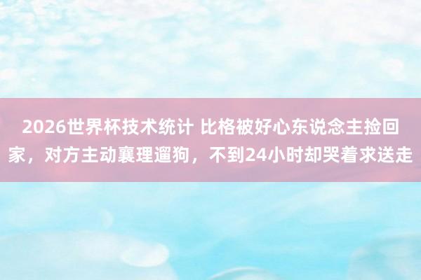 2026世界杯技术统计 比格被好心东说念主捡回家,对方主动襄理遛狗,不到24小时却哭着求送走