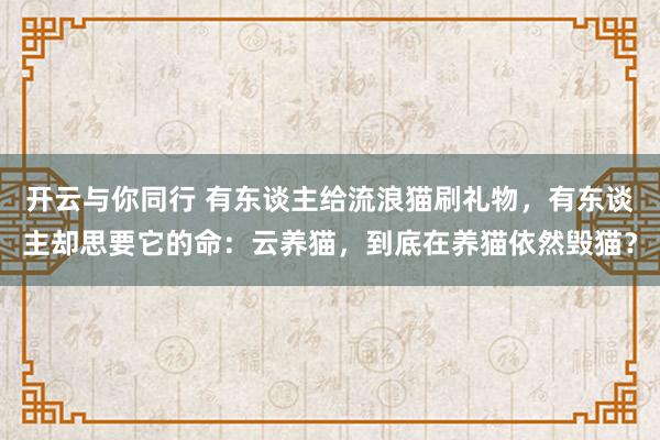 开云与你同行 有东谈主给流浪猫刷礼物，有东谈主却思要它的命：云养猫，到底在养猫依然毁猫？