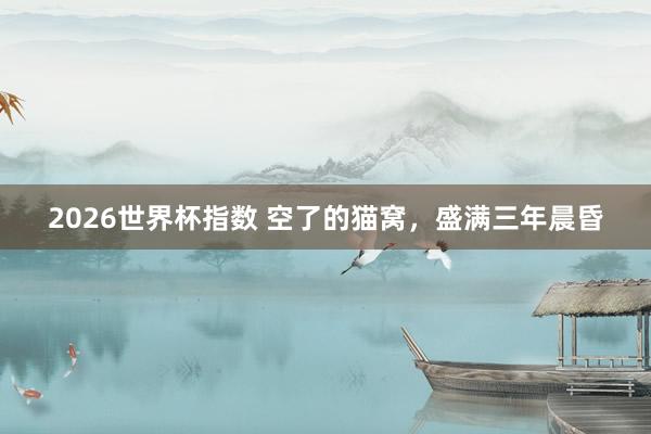 2026世界杯指数 空了的猫窝,盛满三年晨昏