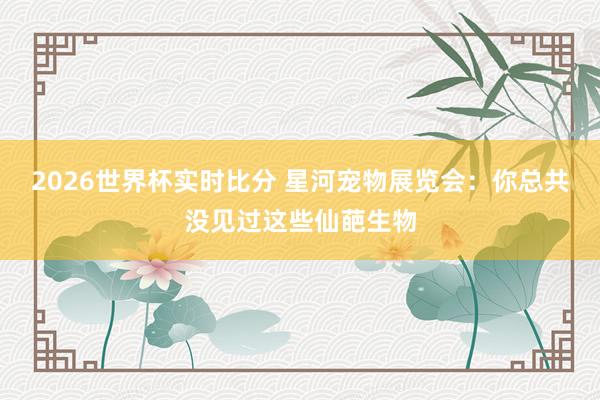 2026世界杯实时比分 星河宠物展览会：你总共没见过这些仙葩生物