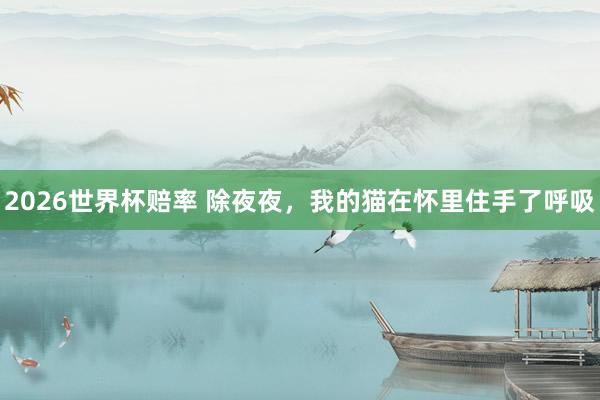 2026世界杯赔率 除夜夜，我的猫在怀里住手了呼吸