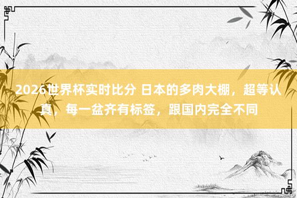 2026世界杯实时比分 日本的多肉大棚,超等认真,每一盆齐有标签,跟国内完全不同