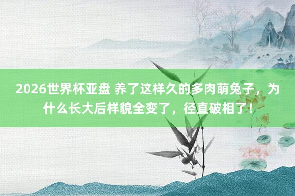 2026世界杯亚盘 养了这样久的多肉萌兔子，为什么长大后样貌全变了，径直破相了！