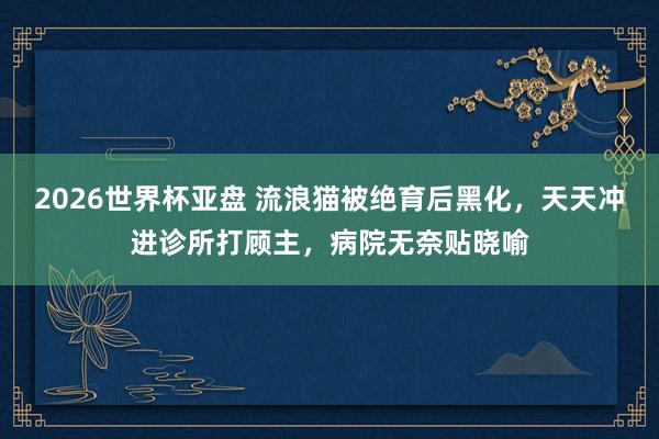 2026世界杯亚盘 流浪猫被绝育后黑化，天天冲进诊所打顾主，病院无奈贴晓喻