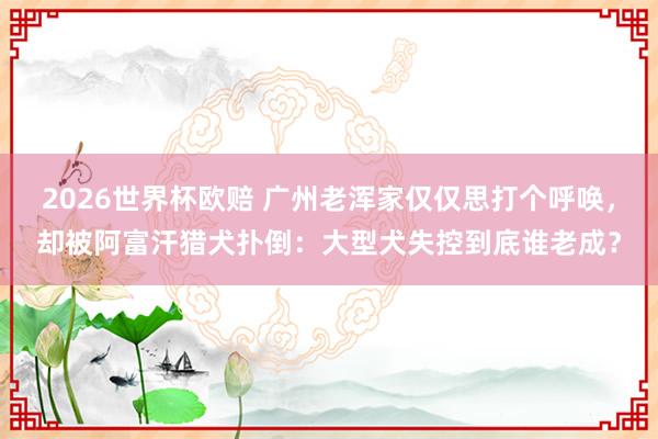 2026世界杯欧赔 广州老浑家仅仅思打个呼唤，却被阿富汗猎犬扑倒：大型犬失控到底谁老成？