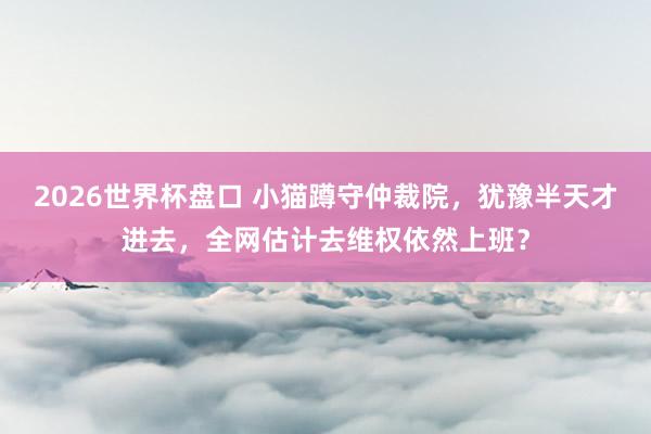 2026世界杯盘口 小猫蹲守仲裁院，犹豫半天才进去，全网估计去维权依然上班？