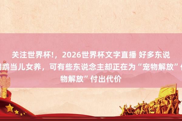 关注世界杯!，2026世界杯文字直播 好多东说念主把鹦鹉当儿女养，可有些东说念主却正在为“宠物解放”付出代价