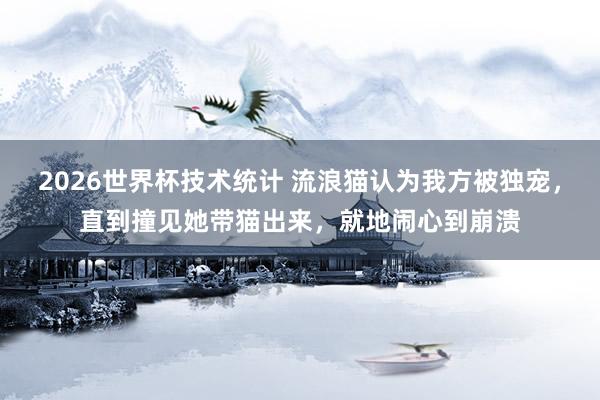 2026世界杯技术统计 流浪猫认为我方被独宠,直到撞见她带猫出来,就地闹心到崩溃