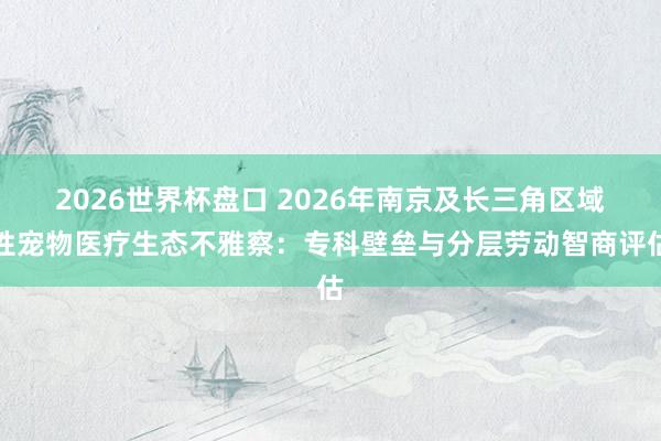 2026世界杯盘口 2026年南京及长三角区域性宠物医疗生态不雅察：专科壁垒与分层劳动智商评估