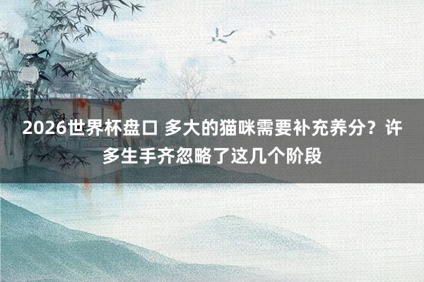 2026世界杯盘口 多大的猫咪需要补充养分？许多生手齐忽略了这几个阶段