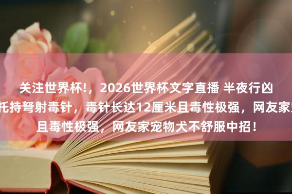 关注世界杯!,2026世界杯文字直播 半夜行凶!海盐一须眉驾摩托持弩射毒针,毒针长达12厘米且毒性极强,网友家宠物犬不舒服中招!