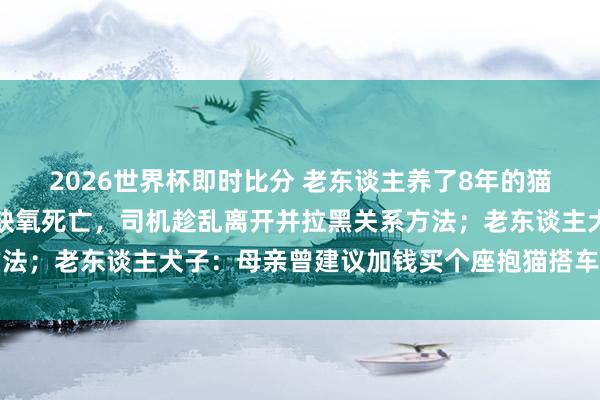 2026世界杯即时比分 老东谈主养了8年的猫被司机强行放后备箱致缺氧死亡，司机趁乱离开并拉黑关系方法；老东谈主犬子：母亲曾建议加钱买个座抱猫搭车遭司机拒却