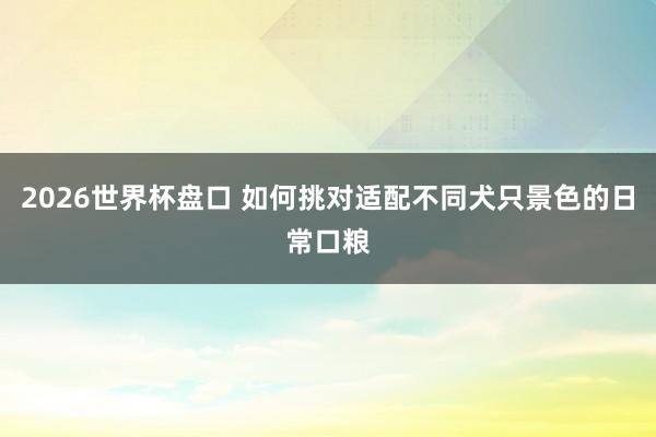 2026世界杯盘口 如何挑对适配不同犬只景色的日常口粮