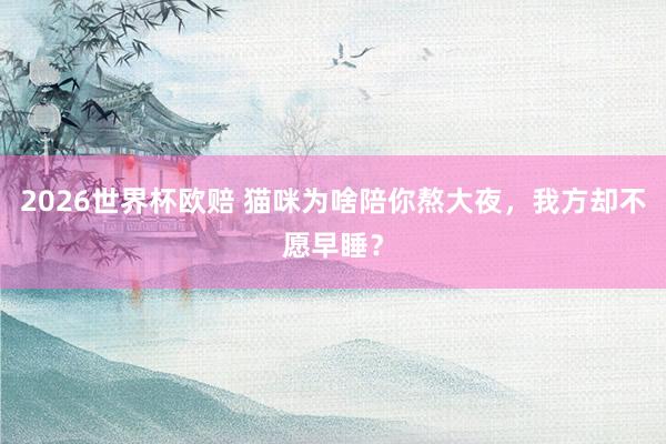 2026世界杯欧赔 猫咪为啥陪你熬大夜，我方却不愿早睡？