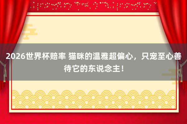 2026世界杯赔率 猫咪的温雅超偏心，只宠至心善待它的东说念主！