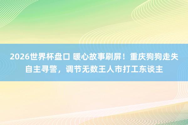 2026世界杯盘口 暖心故事刷屏！重庆狗狗走失自主寻警，调节无数王人市打工东谈主
