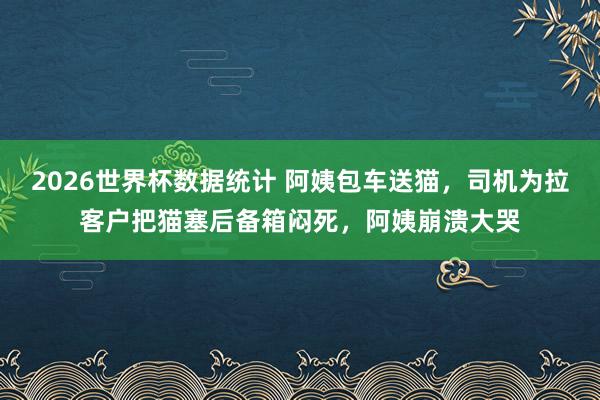 2026世界杯数据统计 阿姨包车送猫，司机为拉客户把猫塞后备箱闷死，阿姨崩溃大哭