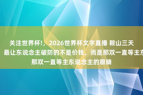 关注世界杯!，2026世界杯文字直播 鞍山三天宠物嘉会背后，最让东说念主破防的不是价钱，而是那双一直等主东说念主的眼睛