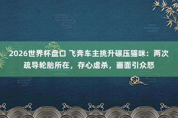 2026世界杯盘口 飞奔车主挑升碾压猫咪:两次疏导轮胎所在,存心虐杀,画面引众怒