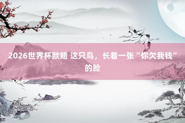 2026世界杯欧赔 这只鸟，长着一张“你欠我钱”的脸
