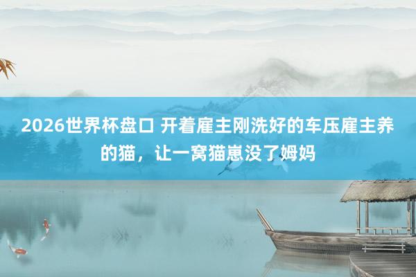 2026世界杯盘口 开着雇主刚洗好的车压雇主养的猫，让一窝猫崽没了姆妈