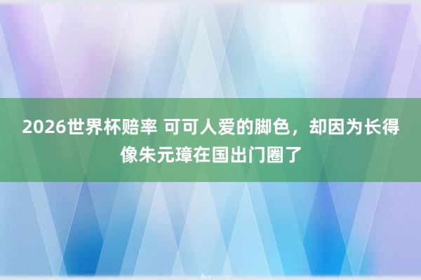 2026世界杯赔率 可可人爱的脚色，却因为长得像朱元璋在国出门圈了