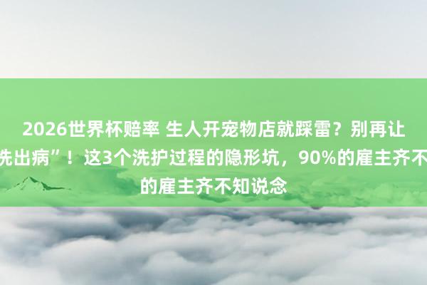 2026世界杯赔率 生人开宠物店就踩雷？别再让猫咪“洗出病”！这3个洗护过程的隐形坑，90%的雇主齐不知说念
