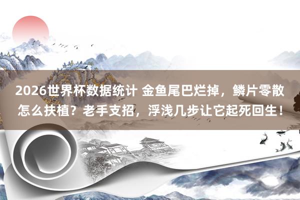 2026世界杯数据统计 金鱼尾巴烂掉，鳞片零散怎么扶植？老手支招，浮浅几步让它起死回生！