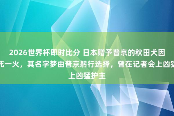 2026世界杯即时比分 日本赠予普京的秋田犬因年老死一火，其名字梦由普京躬行选择，曾在记者会上凶猛护主