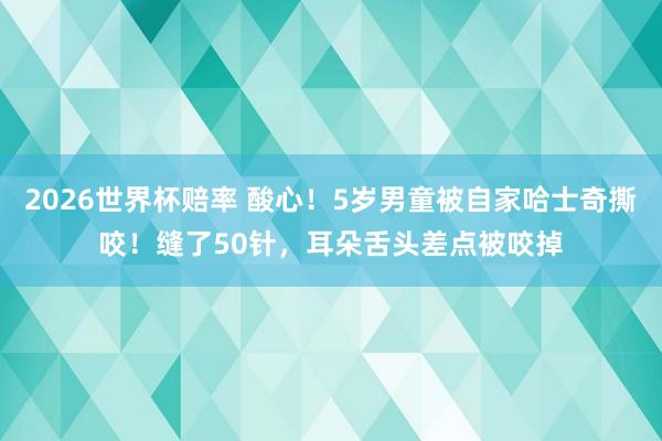 2026世界杯赔率 酸心！5岁男童被自家哈士奇撕咬！缝了50针，耳朵舌头差点被咬掉