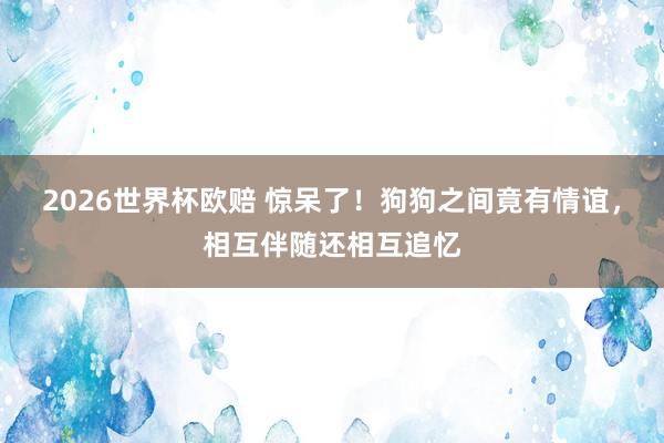 2026世界杯欧赔 惊呆了!狗狗之间竟有情谊,相互伴随还相互追忆