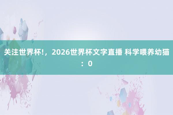 关注世界杯!,2026世界杯文字直播 科学喂养幼猫:0