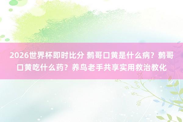 2026世界杯即时比分 鹩哥口黄是什么病？鹩哥口黄吃什么药？养鸟老手共享实用救治教化