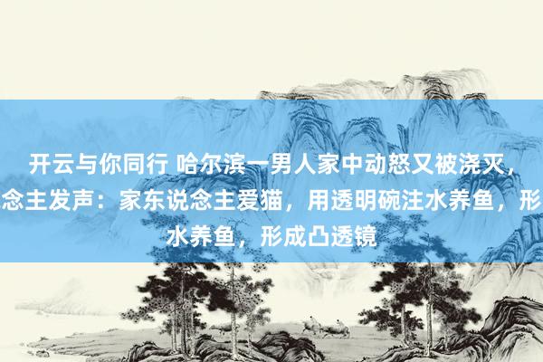 开云与你同行 哈尔滨一男人家中动怒又被浇灭，当事东说念主发声：家东说念主爱猫，用透明碗注水养鱼，形成凸透镜