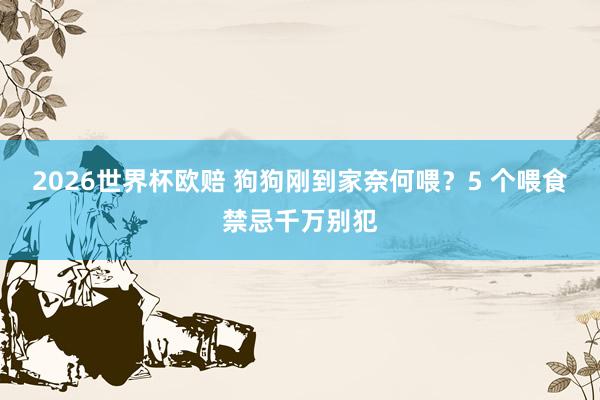 2026世界杯欧赔 狗狗刚到家奈何喂？5 个喂食禁忌千万别犯