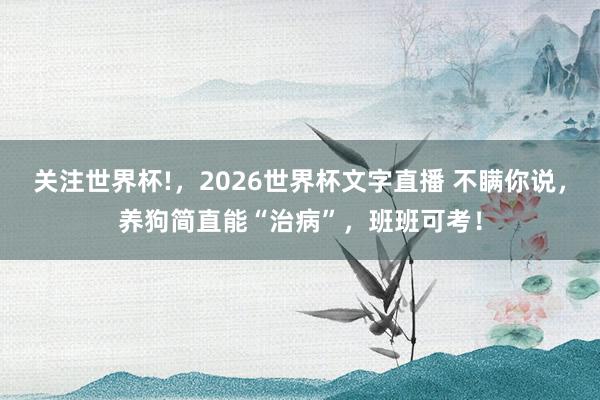 关注世界杯!，2026世界杯文字直播 不瞒你说，养狗简直能“治病”，班班可考！