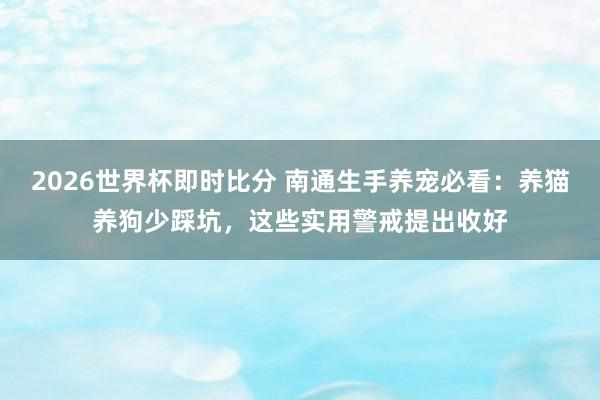 2026世界杯即时比分 南通生手养宠必看：养猫养狗少踩坑，这些实用警戒提出收好