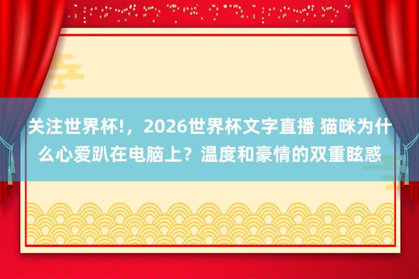 关注世界杯!，2026世界杯文字直播 猫咪为什么心爱趴在电脑上？温度和豪情的双重眩惑