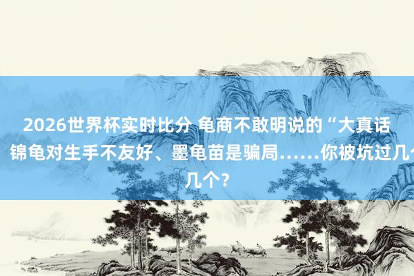 2026世界杯实时比分 龟商不敢明说的“大真话”：锦龟对生手不友好、墨龟苗是骗局……你被坑过几个？