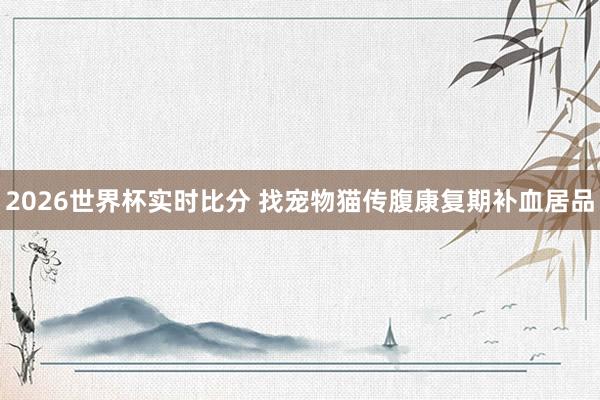 2026世界杯实时比分 找宠物猫传腹康复期补血居品