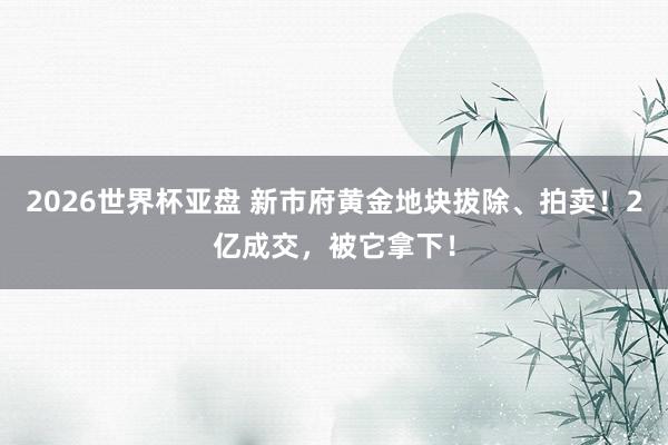 2026世界杯亚盘 新市府黄金地块拔除、拍卖！2亿成交，被它拿下！