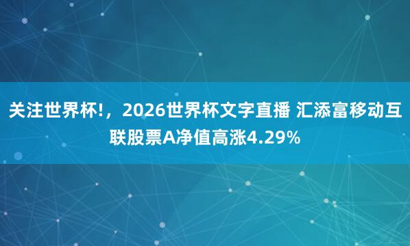 关注世界杯!,2026世界杯文字直播 汇添富移动互联股票A净值高涨4.29%