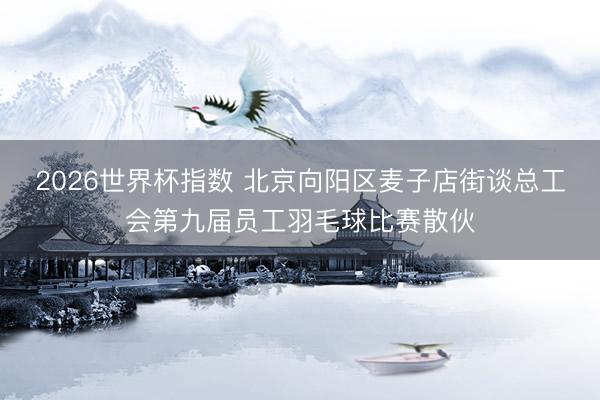 2026世界杯指数 北京向阳区麦子店街谈总工会第九届员工羽毛球比赛散伙