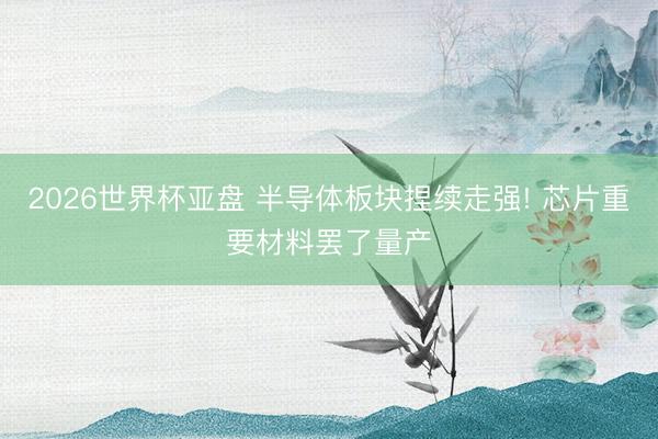 2026世界杯亚盘 半导体板块捏续走强! 芯片重要材料罢了量产