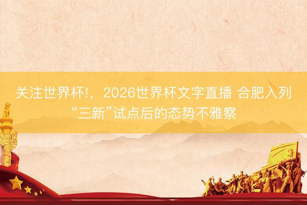 关注世界杯!，2026世界杯文字直播 合肥入列“三新”试点后的态势不雅察
