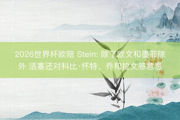 2026世界杯欧赔 Stein: 除了欧文和墨菲除外 活塞还对科比·怀特、乔和拉文感意思
