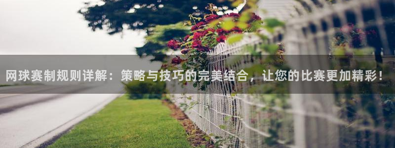 网球赛制规则详解：策略与技巧的完美结合，让您的比赛更加精彩！