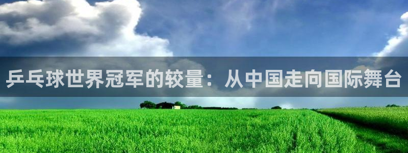 乒乓球世界冠军的较量：从中国走向国际舞台