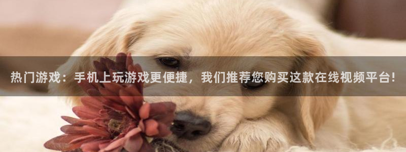 热门游戏：手机上玩游戏更便捷，我们推荐您购买这款在线视频平台